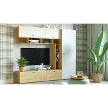 Сильва Стенка для гостиной Snow wood ID - 487289