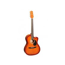 Фолк-гитара TERRIS CAG240C BS + чехол