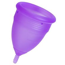 Фиолетовая менструальная чаша Lila L (фиолетовый)