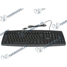 Клавиатура Gembird "KB-8351U-BL", 104кн., черный (USB) (ret) [136919]