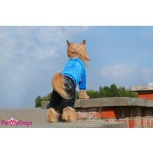 Утепленный велюровый костюм для собак ForMyDogs синий 148SS-2014 B