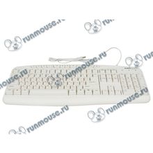 Клавиатура Sven "Comfort 3050", 104+12кн., белый (USB) (ret) [119821]