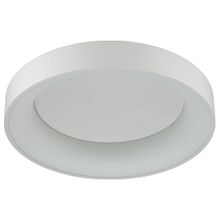 Odeon Light Накладной светильник Odeon Light Sole 4066 40CL ID - 391588