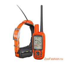 ALPHA 50 с ошейником Т5 ( )