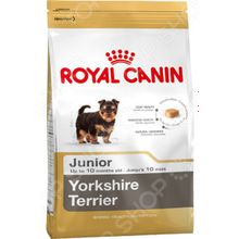 Royal Canin Junior Yorkshire Terrier