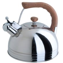 Чайник со свистком Regent TEA 93-2503B.2 (3,8 л)