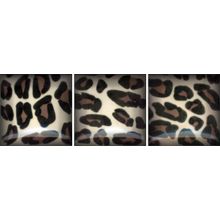 Декор Cobsa Decora Onice Leo S 3 микс из 3 шт 100х100