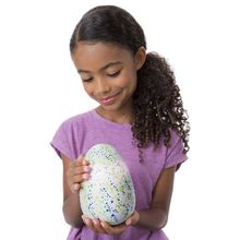 Hatchimals яйцо с сюрпризом Draggles зеленое