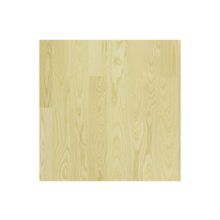 Паркетная доска  Magnum (Магнум) Ясень King белый лак