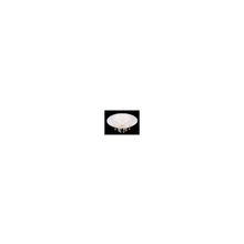 WL071041-500C