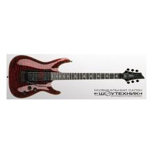 SCHECTER Omen Extreme FR BCH