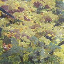 Часы картины Династия 04-019-14 Осень