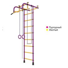 ДСК"Пионер 1" пурпурно жёлтый