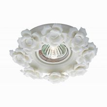 Novotech Farfor 369870