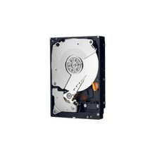 Western Digital Caviar Black [WD5003AZEX]