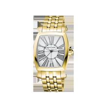 Pierre Cardin PC100251F03