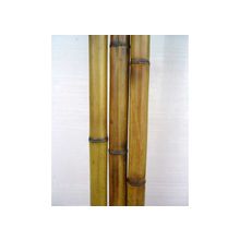 Бамбук стандарт 2,5-3 см