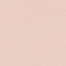 BN 219315 Обои BN (Smalltalk) (1*12) 10,05x0,53 винил на флизелине