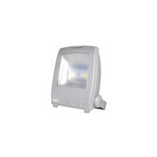 Светодиодный прожектор Geniled СДП-80