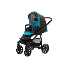 Noordi 2 в 1 Polaris SP коричнево-голубая