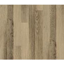 Balterio Senator Ясень Арамис 130