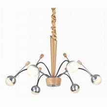 Lucia Tucci Natura 155.6