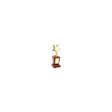Награда «Звезда» на постаменте