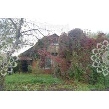 Егорьевское, 45 км от МКАД, Раменский р-н, Гжель, садовый дом, Площадь дома: 60 кв.м. Размер участка: 6 сот.