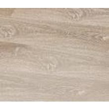 Бук Палермо