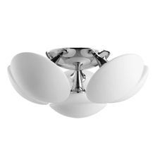 Arte Lamp Потолочная люстра Arte Lamp Soffione A2550PL-6CC ID - 222287