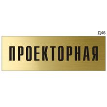 Информационная табличка «Проекторная» на дверь прямоугольная Д46 (300х100 мм)