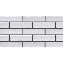 Cerrad Foggia Bianco плитка клинкерная фасадная 65 мм*245 8 мм