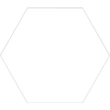 Codicer Basic White Hex 25 Hexagonal 22x25 см