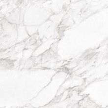 Плитка напольная Argenta Carrara White shine 600х600