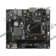 Мат. плата Socket1150 GIGABYTE "GA-H81M-S2V" (iH81, 2xDDR3, SATA III, SATA II, PCI-E, D-Sub, DVI, 1Гбит LAN, USB3.0, mATX) (ret) [126593]