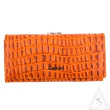 Кошелек Giorgio Ferretti 2010C-A492-B