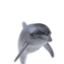 Schleich Дельфин