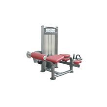 Сгибание ног лежа 200ф Aerofit IT9021