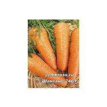 Морковь Шантане 2461