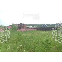 Новорязанское, 50 км от МКАД, Раменский г.о. Никулино, Размер участка: 11 сот.