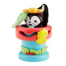 Fisher Price (MATTEL) Mattel Fisher-Price DFP91 Фишер Прайс Игрушка в горшочке DFP91