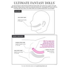 Невероятно реалистичная секс-кукла Ultimate Fantasy Dolls Kitty телесный