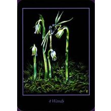 Карты Таро: "Twilight Realm a Tarot of Faery" (SP109)