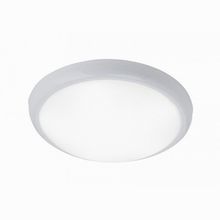 Brilliant Vigor G94131 05