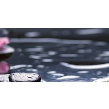 Панно Нефрит Болеро Орхидея 10-04-04-162-2 (2ч) 250х500