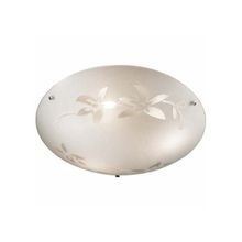 Sonex ROMANA настенно-потолочный