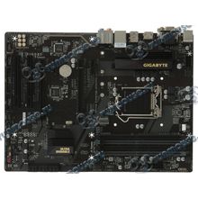 Мат. плата Socket1151 GIGABYTE "GA-B250-HD3" (iB250, 4xDDR4, M.2, SATA III, 2xPCI-E, D-Sub, DVI, HDMI, 1Гбит LAN, USB3.1, ATX) (ret) [137857]