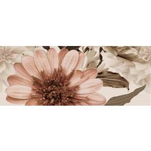 Ibero Charme Bone Amour Dec C 20x50 см