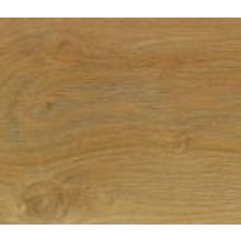 Дуб Маджоре