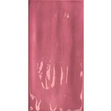 Tonalite Joyful Pitaya 10x20 см